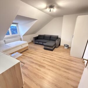 Helle renovierte 1-Zimmer-DG-Wohnung inkl. moderner separater Küche