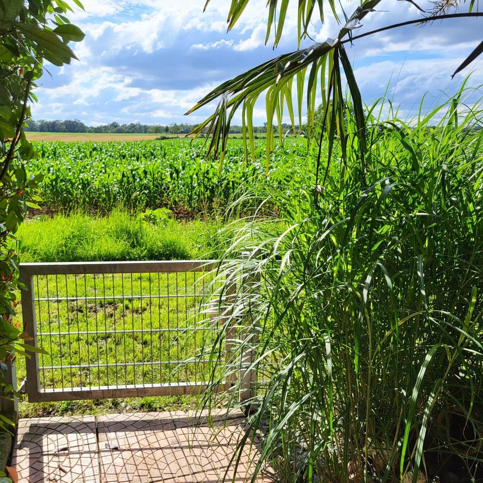 Wohnung mit direktem Feld Zugang – Bild 16