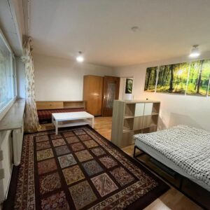 Helle, Möbliert, ruhig, zentral, am Wald, mit 2 Terrassen