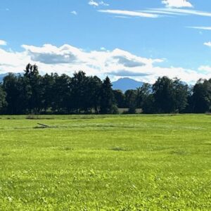 Erschlossenes Baugrundstück