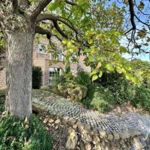 Wohlfühl Büros / Yogastudio / Praxis / Fitness 35-140qm, repräsentativ , parkähnliche Außenanlage