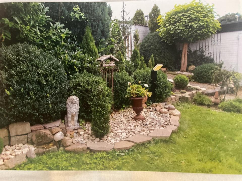 Bungalow am Hamscheberg – Bild 12