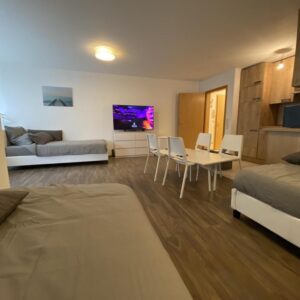 Gemütliche 1,5-Zimmer-Apartment mit Terrasse und Stellplatz – möbliert.