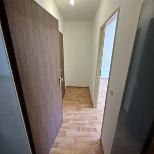 Energieeffiziente 1-Zimmer-Wohnung mit Balkon im Nibelungenviertel – Energieeffizienzklasse C!