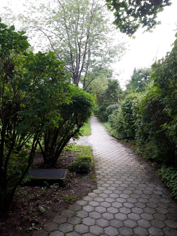 Provisionsfrei: Waldperlach–2–Zi–Whg. am Wald in gehobener Lage, privat vom Eigentümer – Bild 3