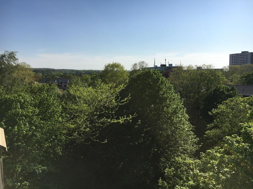 Attraktive, helle 2-Zimmer-Wohnung mit sonnigem West-Balkon und Fernblick – Bild 7