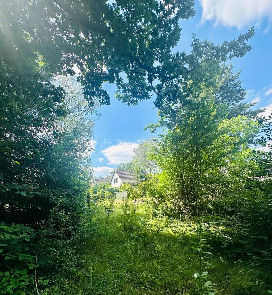 Attraktives Baugrundstück in Ellerbek (Moordamm) – ruhige Lage, gute Anbindung! – Bild 2