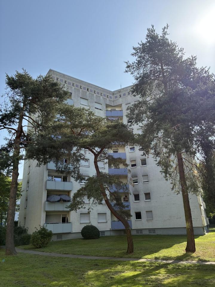 ruhig gelegene 3-Zimmer-Wohnung Erdgeschoss Hanau Wolfgang provisionsfrei