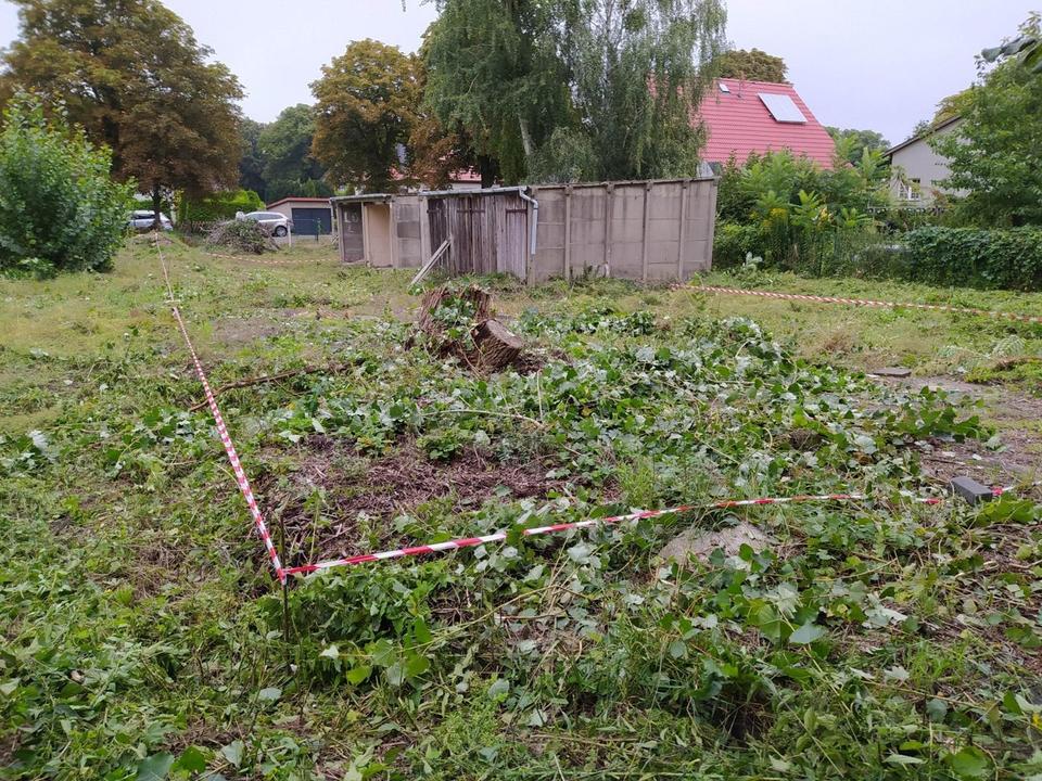 Baugrundstück mit Genehmigung für 741 qm BGF, 8 WE, für Investoren oder Bauträger - provisionsfrei – Bild 4