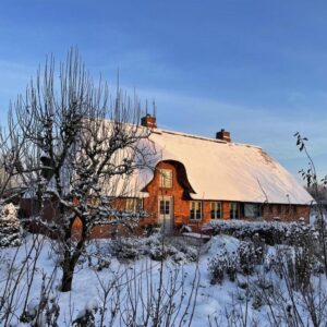 Reetdachaus von 1861 – kernsaniert mit Stil (Klasse A+), Erweiterung möglich