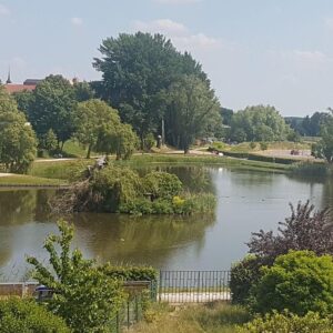 Zweifamilienhaus am Schwanenteich in Demmin – Erstbezug nach Sanierung