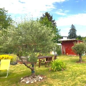 Kleine grüne Oase in der Stadt