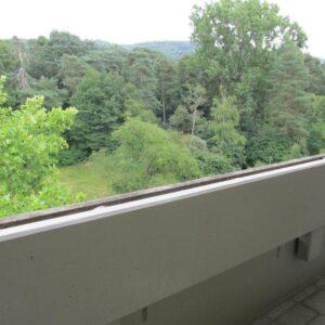 Komplett möblierte 2 Zimmer Wohnung direkt am Wald