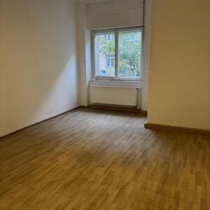 Großzügige 1-Zimmer Wohnung im Grünen