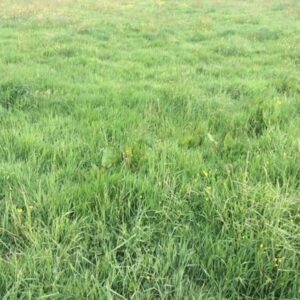 Gewerbegrundstück ca. 7.600 m² in Leipzig gegenüber von Amazon provisionsfreier Share Deal