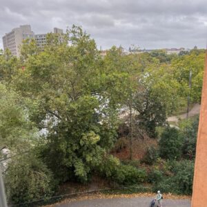 Lichtdurchflutete Wohnung mit Blick auf Urbanhafen