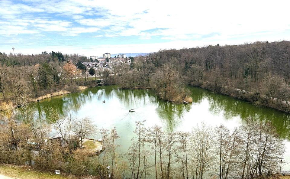 Neuwertige 4 Zim.-Penthouse Wohnung am See mit riesen Terrasse in Singen – Bild 11