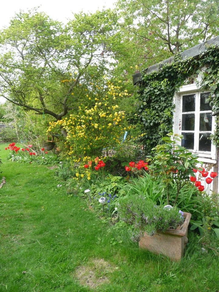 Ruhig und großzügig: Maisonette Wohnung mit Gartenanteil und Stellplatz in Cronenberg – Bild 19