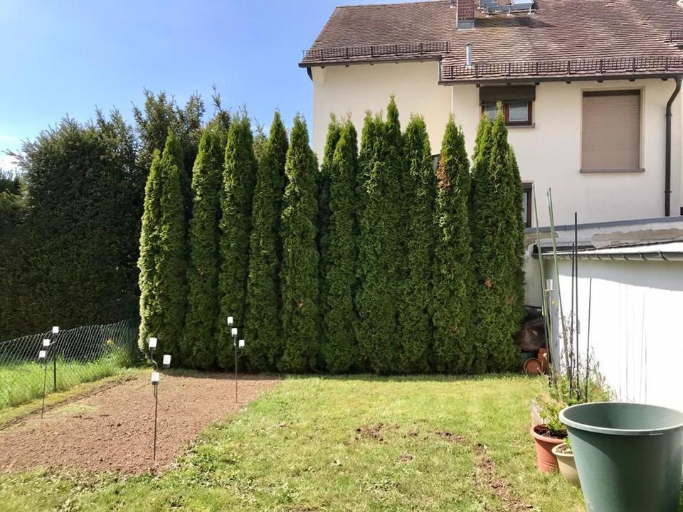 3 Zimmer EG Wohnung in bester Lage mit privatem Garten – Bild 9